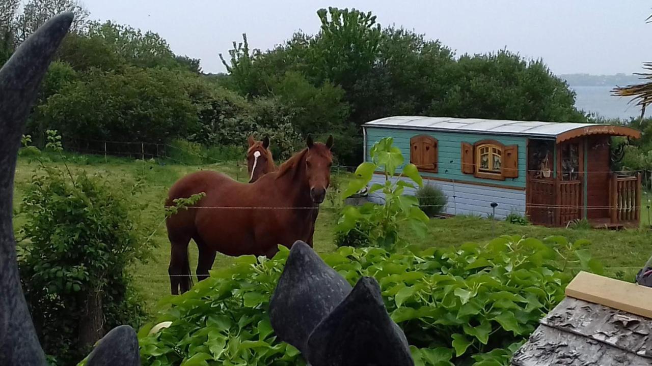 Roulotte De Luxe Vue 180° ,et Un Ha De Verdure